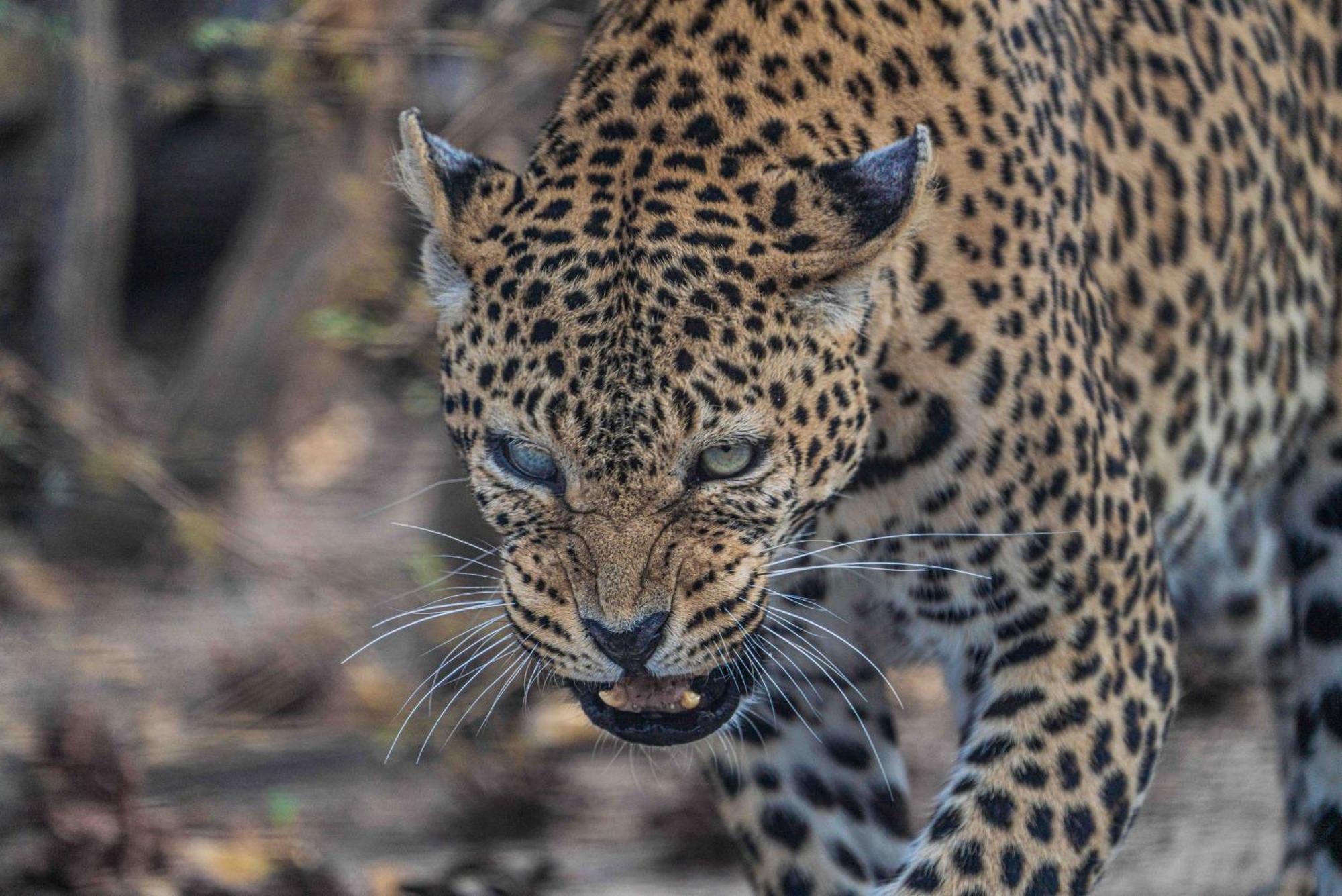 Grassland Safari Lodge Ghanzi Экстерьер фото