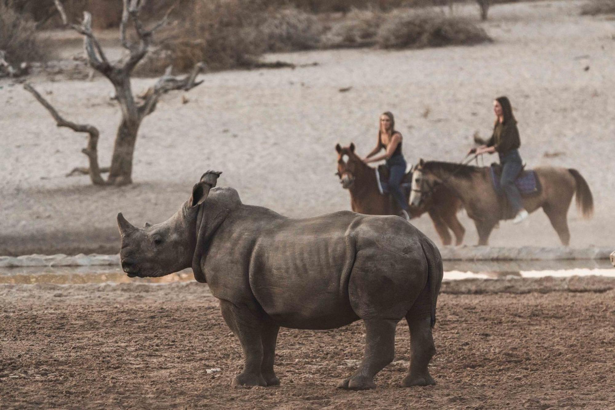 Grassland Safari Lodge Ghanzi Экстерьер фото