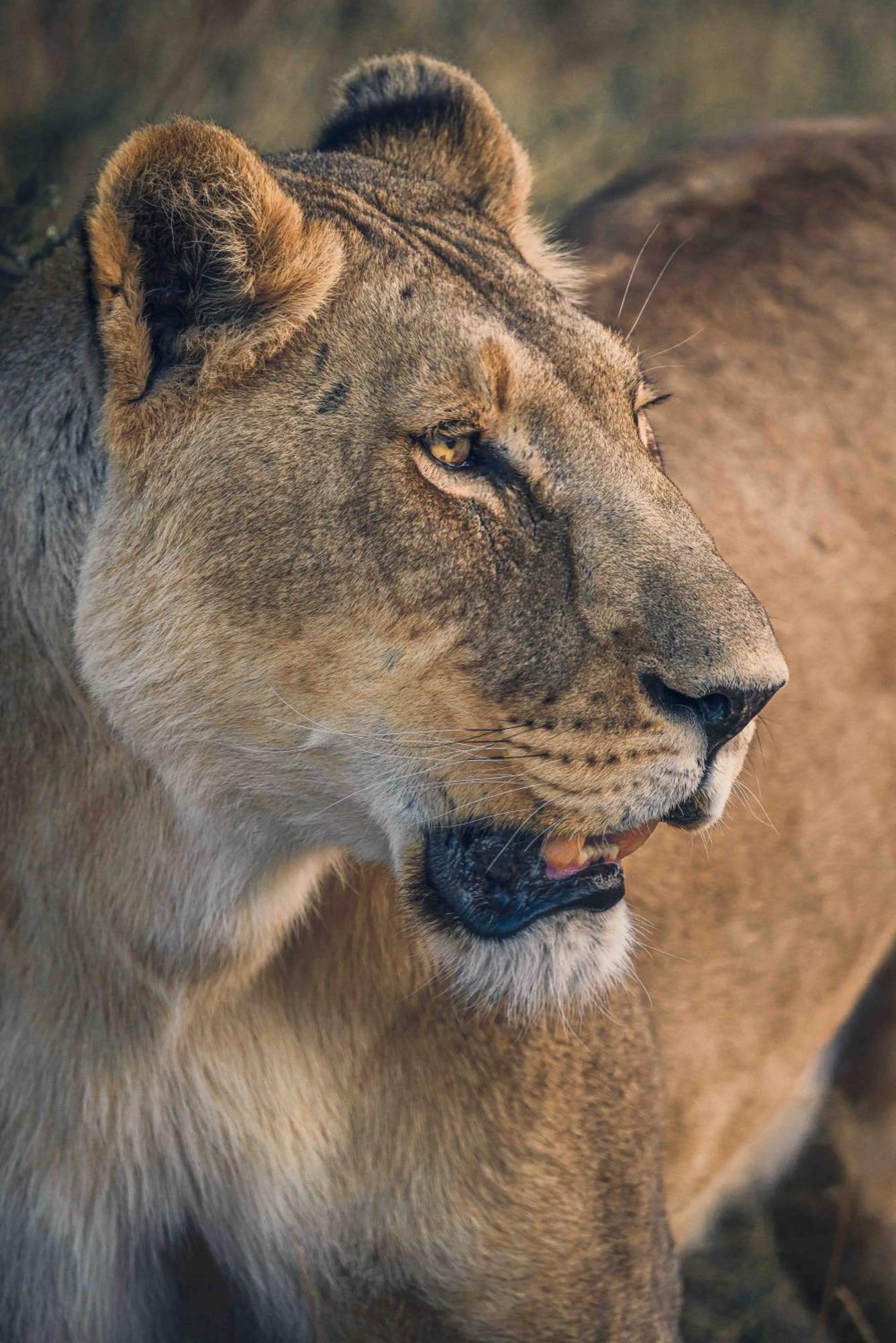 Grassland Safari Lodge Ghanzi Экстерьер фото