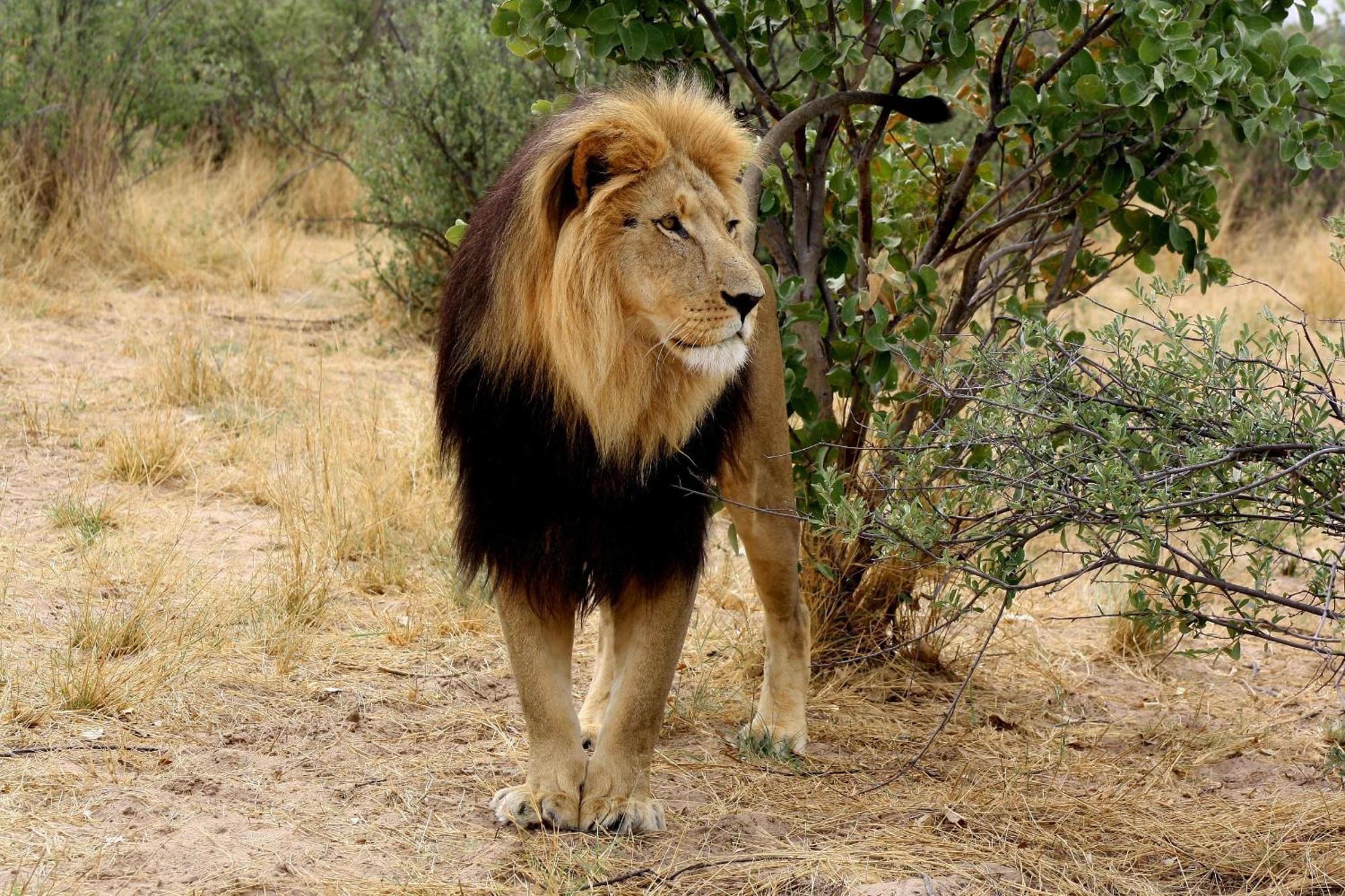Grassland Safari Lodge Ghanzi Экстерьер фото
