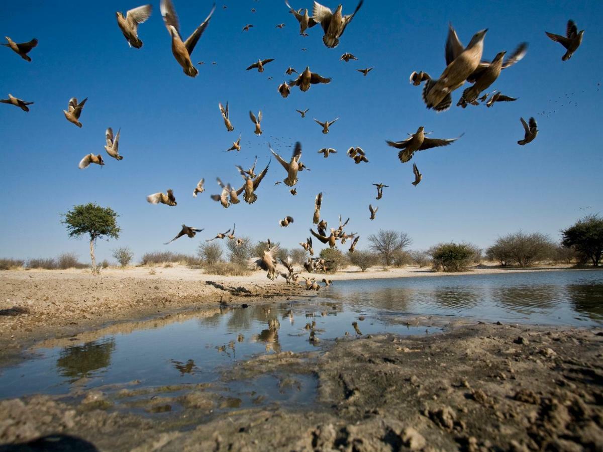 Grassland Safari Lodge Ghanzi Экстерьер фото