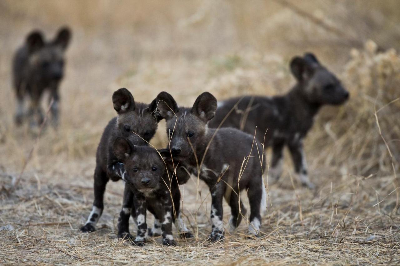 Grassland Safari Lodge Ghanzi Экстерьер фото