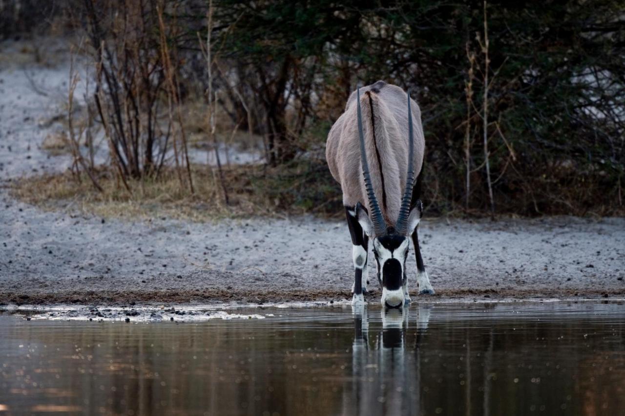 Grassland Safari Lodge Ghanzi Экстерьер фото